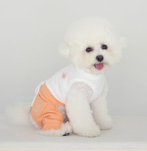 画像をギャラリービューアに読み込む, ADORABLE jogger pants orange