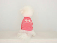 画像をギャラリービューアに読み込む, ADORABLE trainer pink