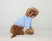 画像をギャラリービューアに読み込む, ADORABLE trainer Blue