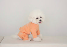 画像をギャラリービューアに読み込む, ADORABLE jogger pants orange