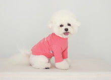 画像をギャラリービューアに読み込む, ADORABLE trainer pink