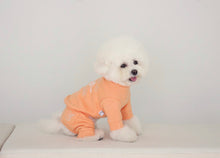 画像をギャラリービューアに読み込む, ADORABLE trainer orange