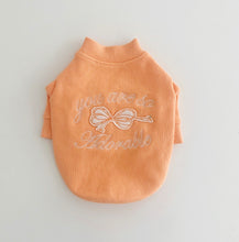 画像をギャラリービューアに読み込む, ADORABLE trainer orange