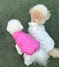 画像をギャラリービューアに読み込む, Heart   vest