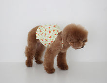 画像をギャラリービューアに読み込む, fruits PUP TOP  Water melon