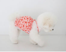 画像をギャラリービューアに読み込む, fruits PUP TOP apple