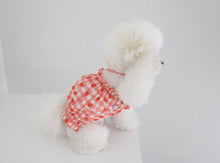 画像をギャラリービューアに読み込む, fruits PUP TOP apple