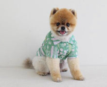 画像をギャラリービューアに読み込む, アロハシャツ green