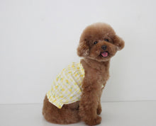 画像をギャラリービューアに読み込む, fruits PUP TOP  LEMON