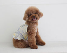 画像をギャラリービューアに読み込む, アロハフリルシャツ yellow