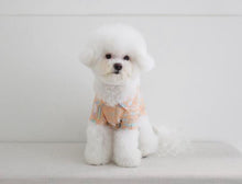 画像をギャラリービューアに読み込む, アロハシャツ orange