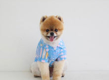 画像をギャラリービューアに読み込む, アロハシャツ Blue