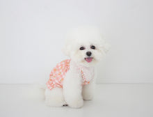 画像をギャラリービューアに読み込む, fruits PUP TOP  peach