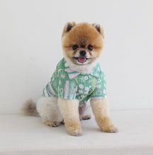 画像をギャラリービューアに読み込む, アロハシャツ green