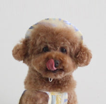 画像をギャラリービューアに読み込む, アロハハット   yellow