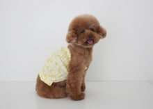 画像をギャラリービューアに読み込む, fruits PUP TOP  LEMON