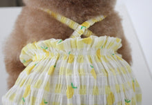 画像をギャラリービューアに読み込む, fruits PUP TOP  LEMON