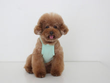 画像をギャラリービューアに読み込む, SUMMER vacation キャミソール  mint