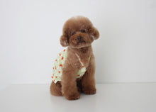 画像をギャラリービューアに読み込む, fruits PUP TOP  Water melon