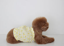 画像をギャラリービューアに読み込む, fruits PUP TOP  LEMON