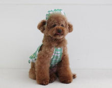 画像をギャラリービューアに読み込む, アロハフリルシャツ green