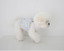 画像をギャラリービューアに読み込む, fruits PUP TOP  pineapple