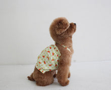 画像をギャラリービューアに読み込む, fruits PUP TOP  Water melon