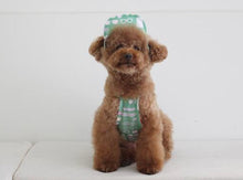 画像をギャラリービューアに読み込む, アロハフリルシャツ green