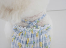 画像をギャラリービューアに読み込む, fruits PUP TOP  pineapple