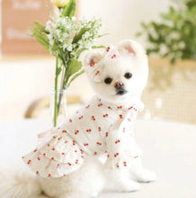 画像をギャラリービューアに読み込む, チェリーリボンワンピース