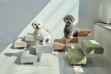 画像をギャラリービューアに読み込む, name 2step clear Step 4color