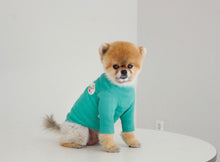 画像をギャラリービューアに読み込む, colorful Wappen T-shirt green