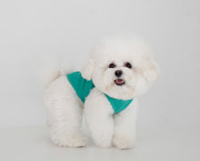 画像をギャラリービューアに読み込む, colorful Wappen tank top green