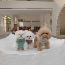 画像をギャラリービューアに読み込む, タートルネックニット