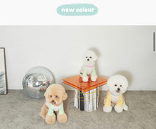 画像をギャラリービューアに読み込む, パッチワークパステルオールインワン mint