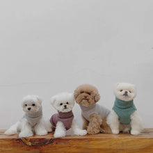 画像をギャラリービューアに読み込む, タートルネックニット