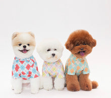 画像をギャラリービューアに読み込む, チェックカラートップス red