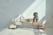 画像をギャラリービューアに読み込む, name 2step clear Step 4color