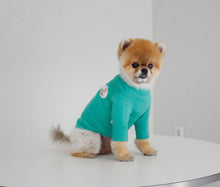 画像をギャラリービューアに読み込む, colorful Wappen T-shirt green