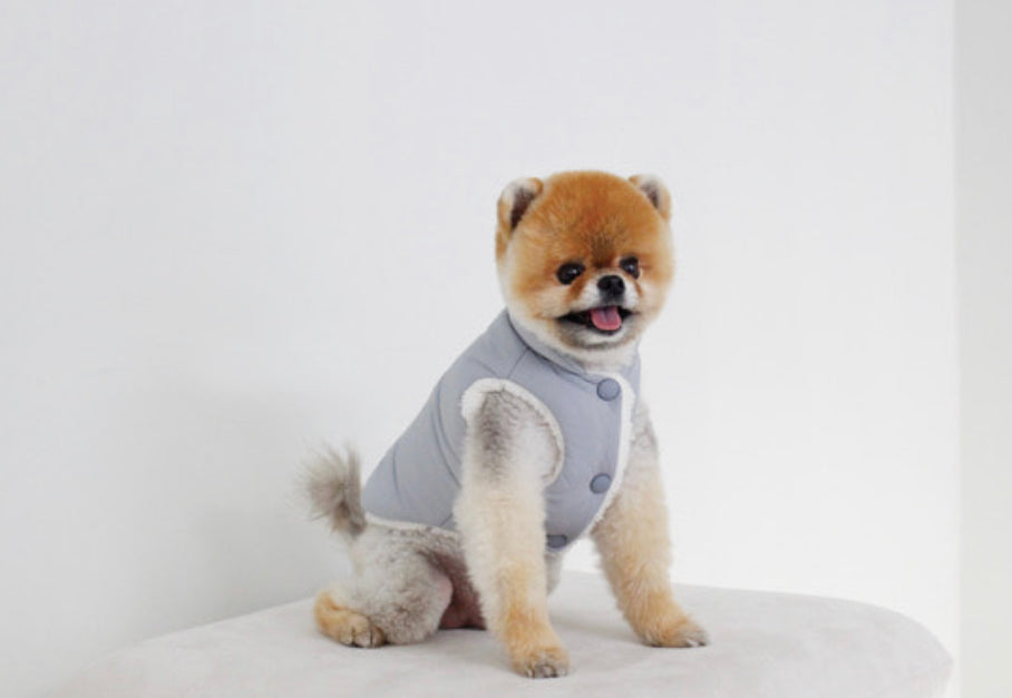 ウィンターパディングベスト Blue – corona dog lifestyle