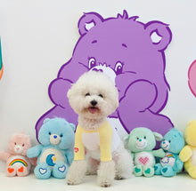 画像をギャラリービューアに読み込む, ケアベアラグランTシャツ yellow