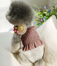 画像をギャラリービューアに読み込む, フラワーキャミソール red