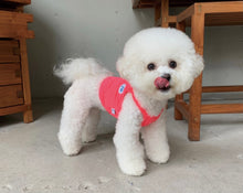 画像をギャラリービューアに読み込む, ネオンキャミソール pink