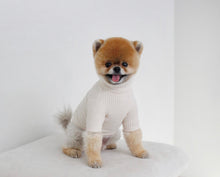 画像をギャラリービューアに読み込む, カラーリブトップス White