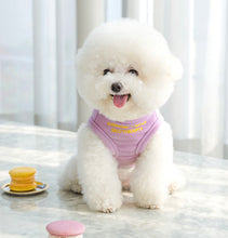 画像をギャラリービューアに読み込む, new メッセージタートルニット purple