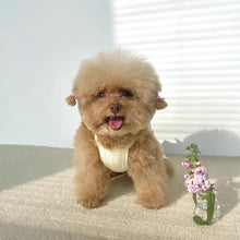 画像をギャラリービューアに読み込む, フリルキャミソール