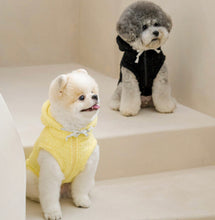 画像をギャラリービューアに読み込む, グリッターフリース yellow