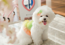 画像をギャラリービューアに読み込む, レインボーキャンディクロップトップス