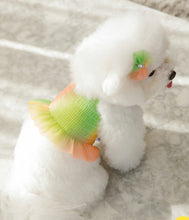 画像をギャラリービューアに読み込む, レインボーキャンディクロップトップス