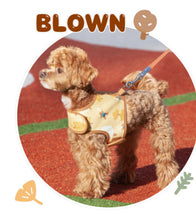画像をギャラリービューアに読み込む, SET リバーシブルモチーフワッペンネームハーネス brown
